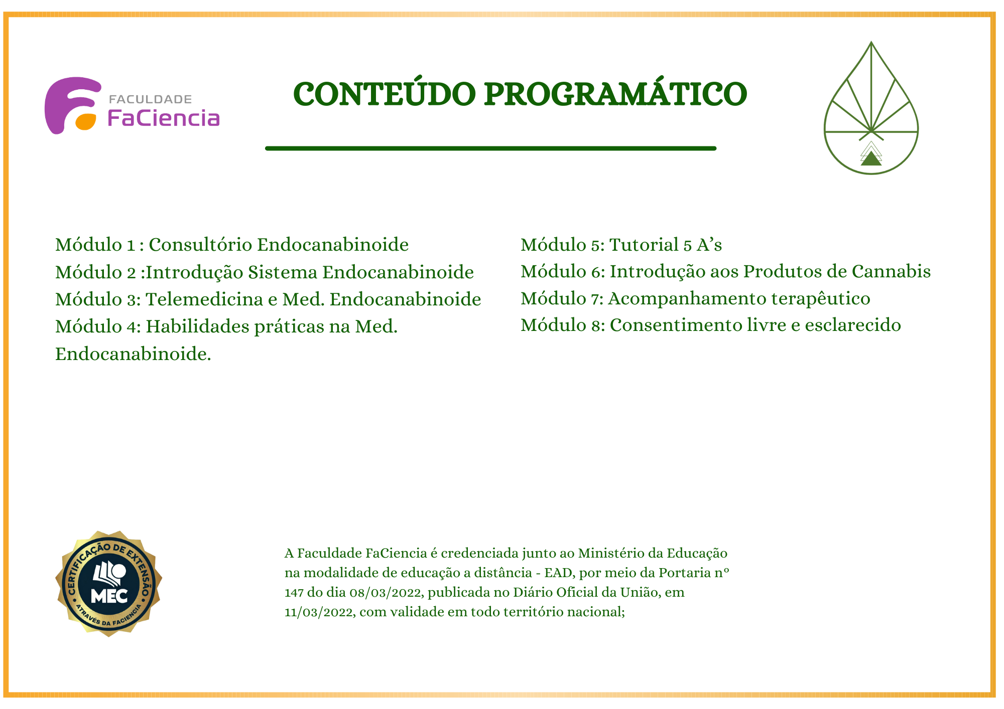 mcx academy certificado 02
